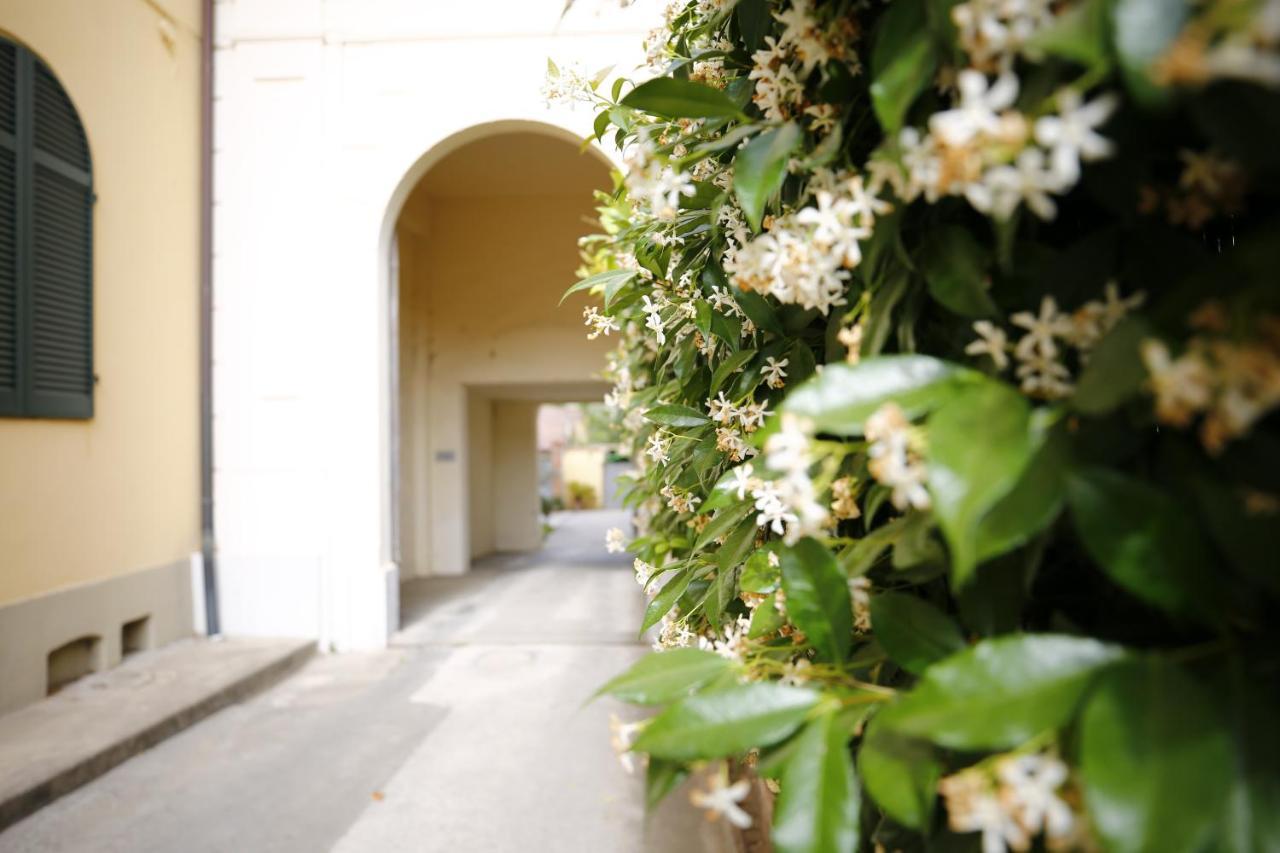 Lungarno Buozzi 7 Apartments Pisa Bagian luar foto